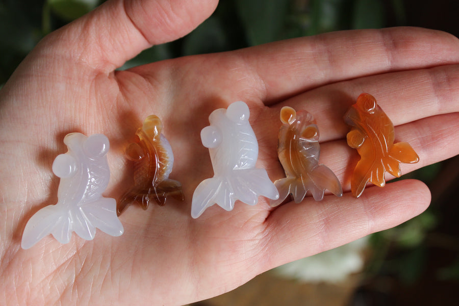 Small/Medium agate goldfish