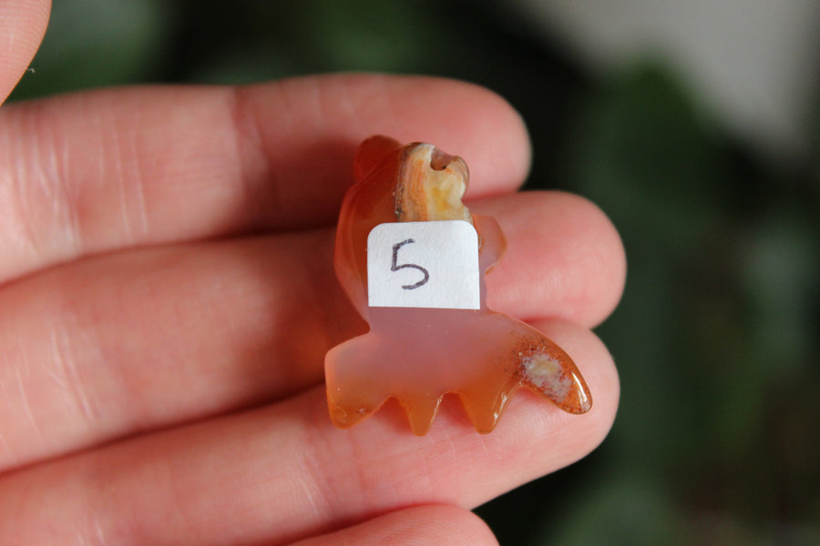 Small/Medium agate goldfish