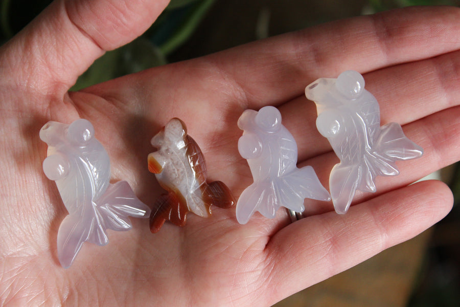 Small/Medium agate goldfish