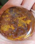 8th vein ocean jasper pocket stone 19