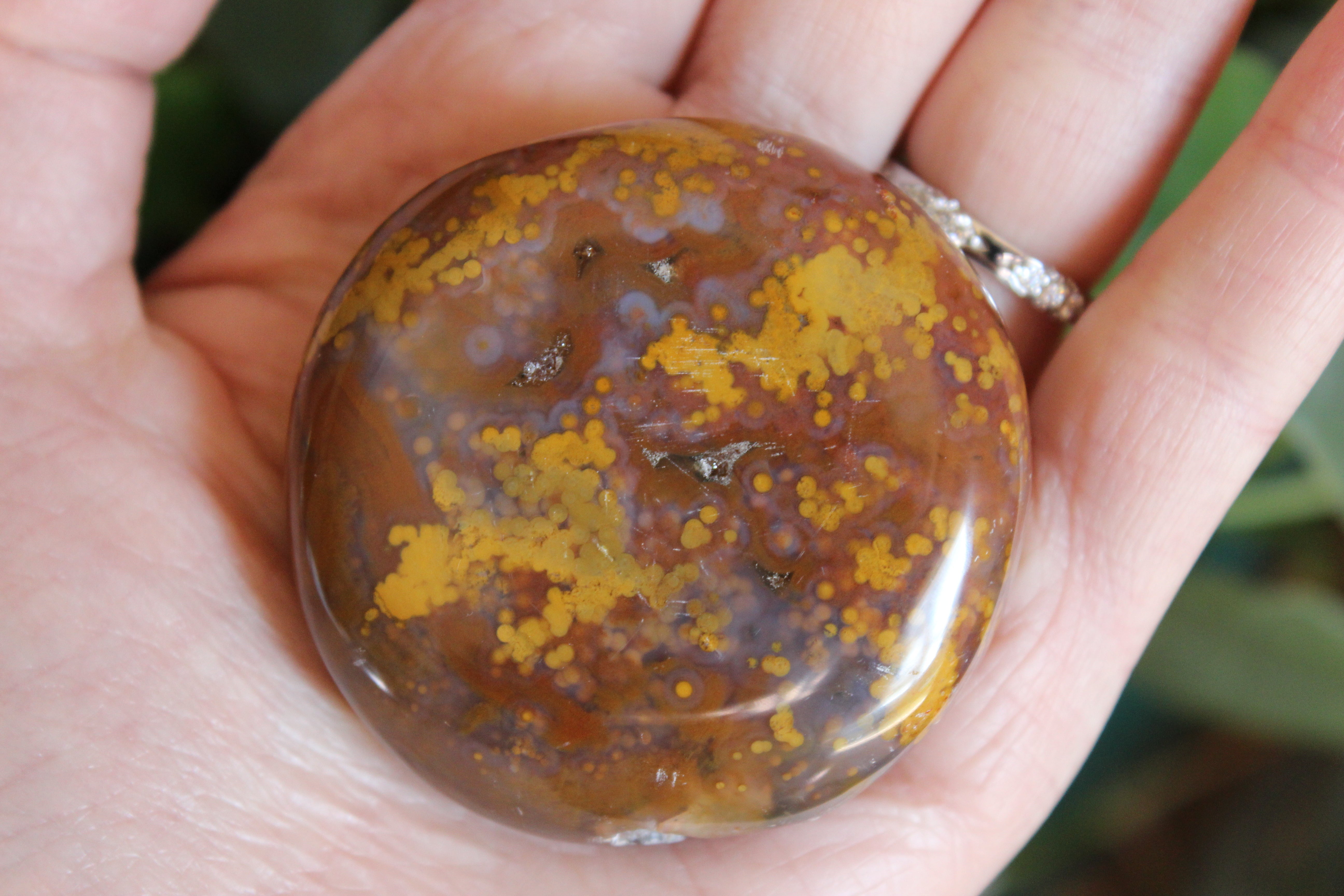 8th vein ocean jasper pocket stone 19