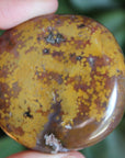 8th vein ocean jasper pocket stone 19