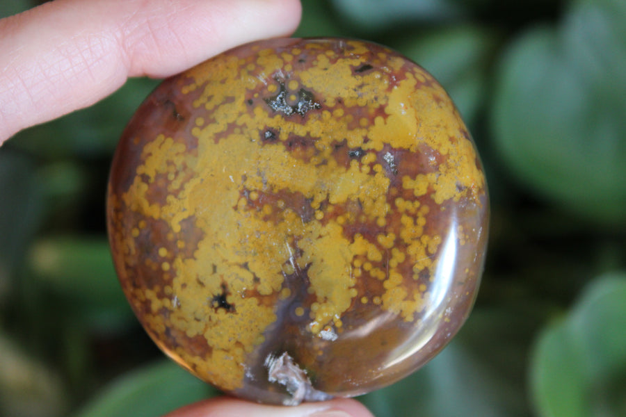 8th vein ocean jasper pocket stone 19