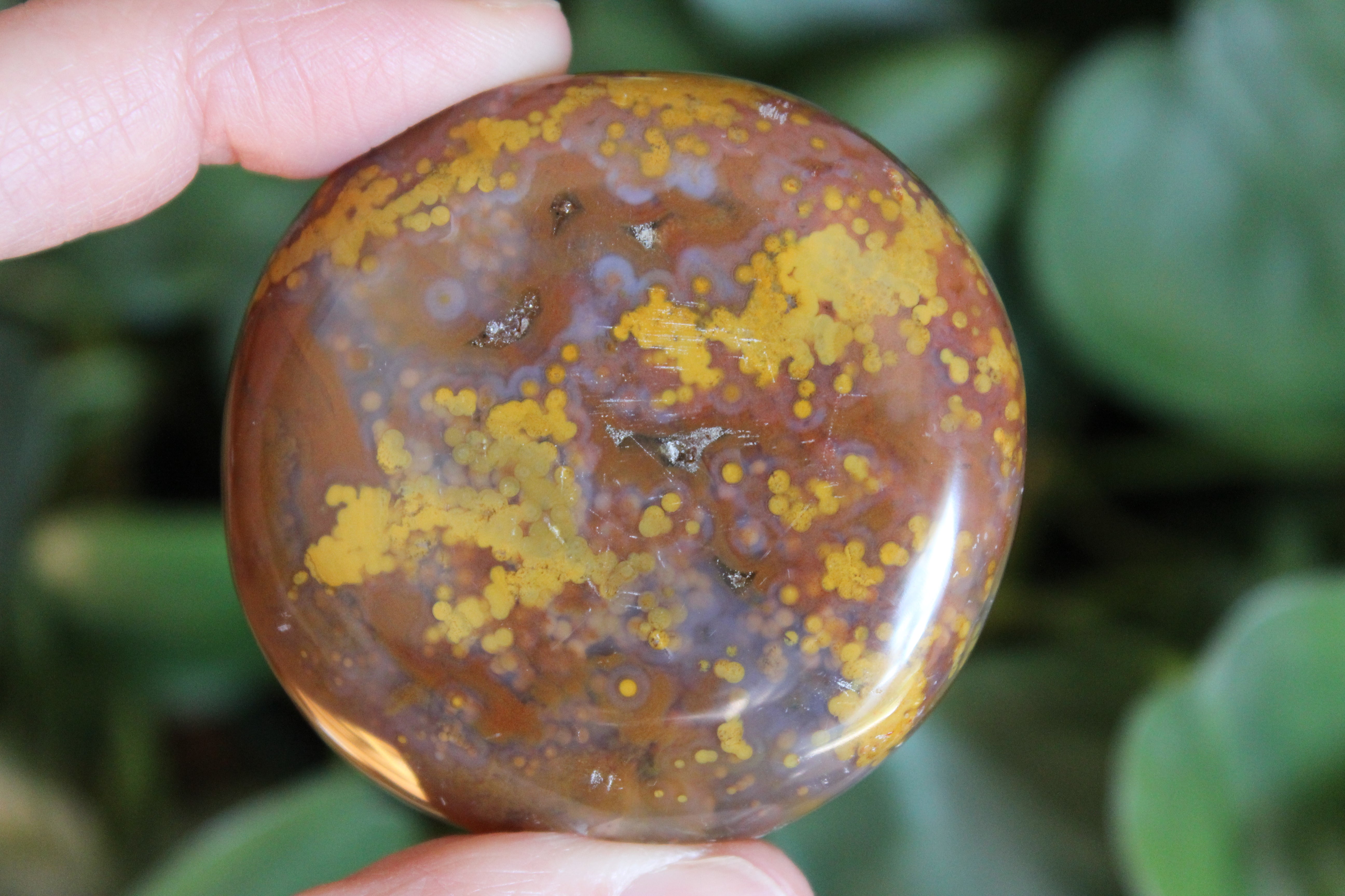 8th vein ocean jasper pocket stone 19