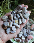 Botswana agate tumbled stones (set of 3)