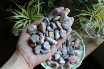 Botswana agate tumbled stones (set of 3)