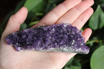 Amethyst cluster 5