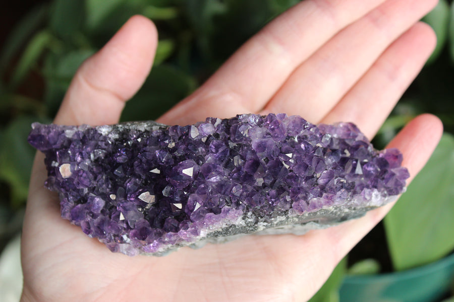 Amethyst cluster 5