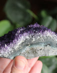 Amethyst cluster 5