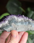 Amethyst cluster 5