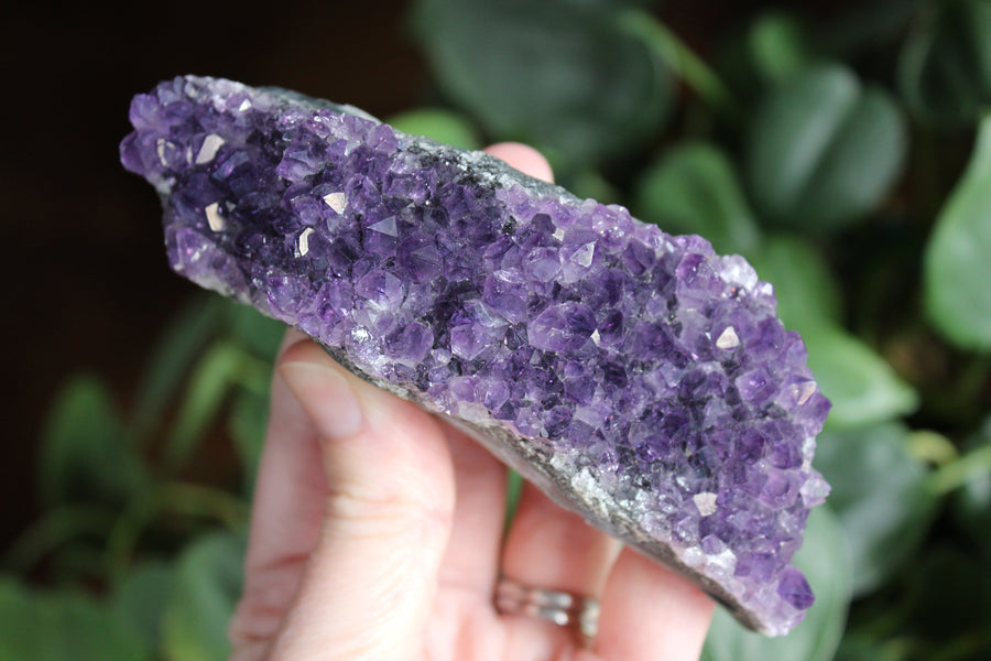 Amethyst cluster 5