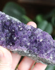 Amethyst cluster 5