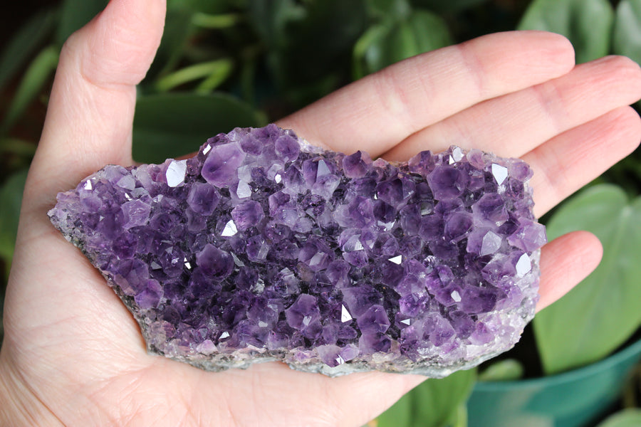 Amethyst cluster 6
