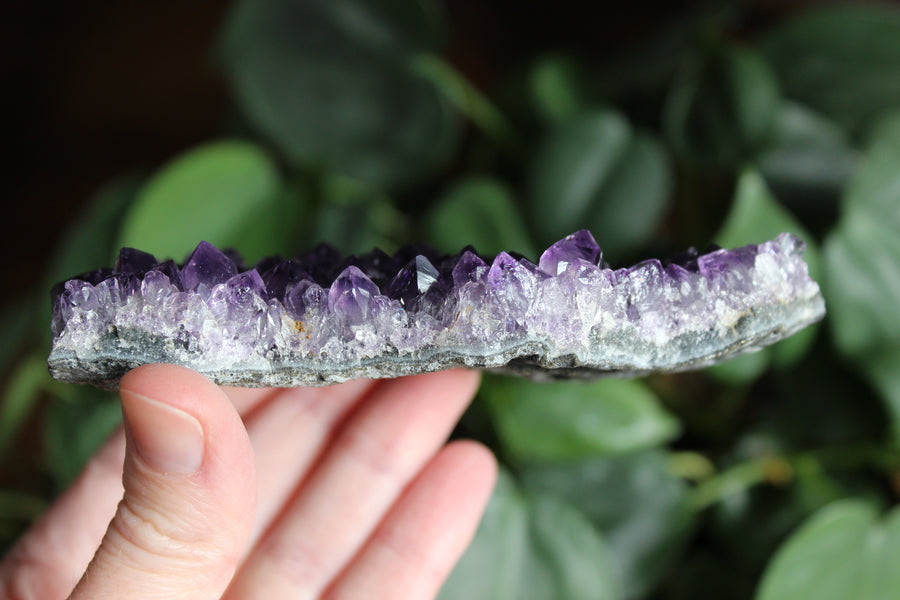 Amethyst cluster 6