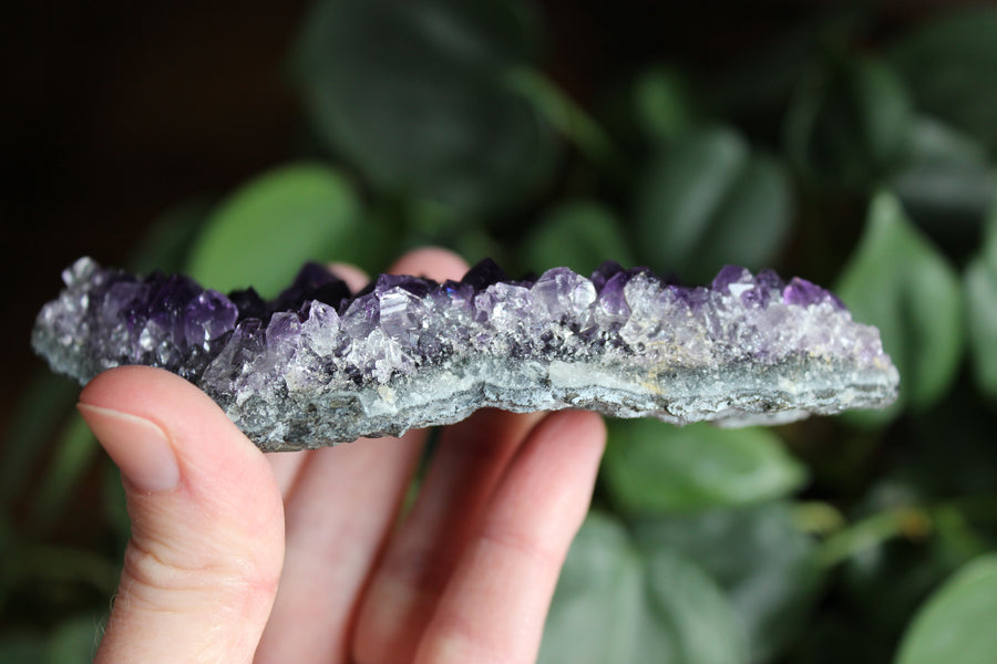 Amethyst cluster 6