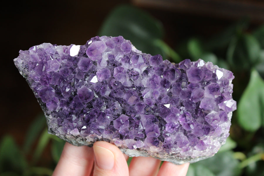 Amethyst cluster 6
