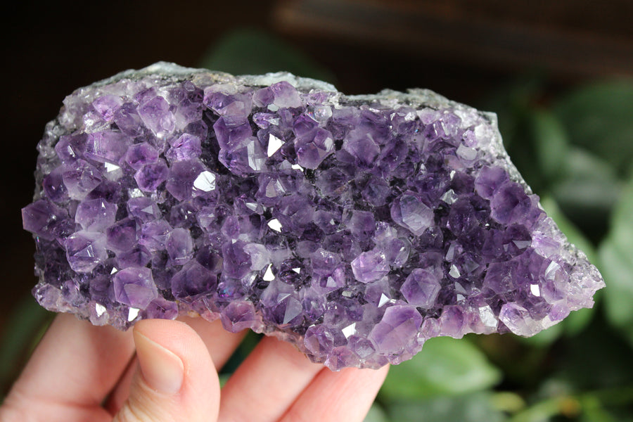 Amethyst cluster 6