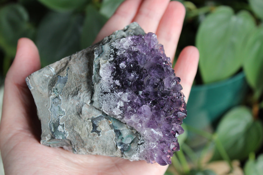 Amethyst cluster 7