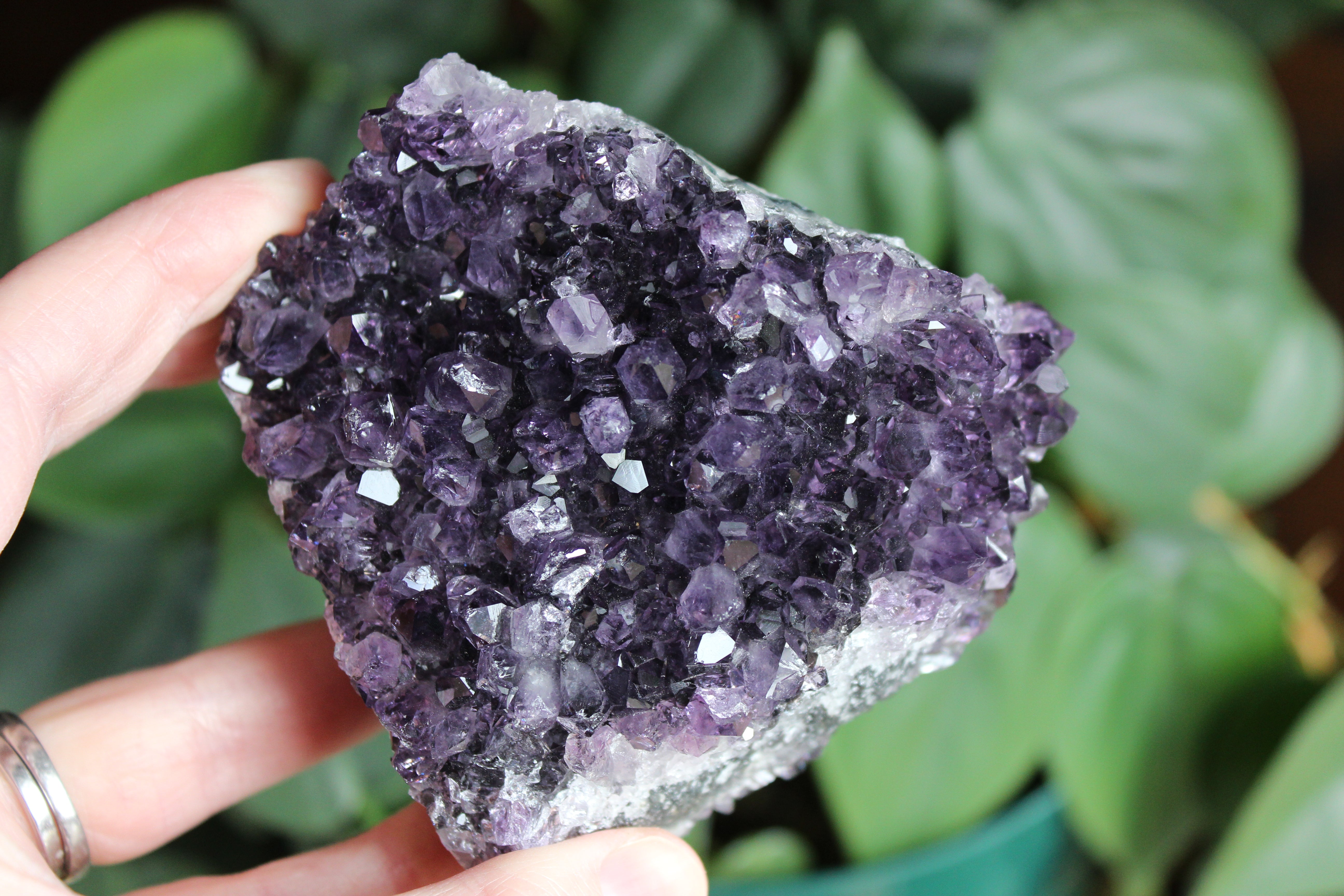 Amethyst cluster 7
