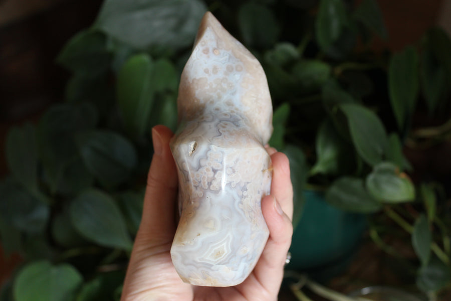 Flower agate flame 8