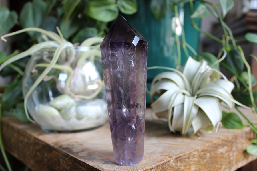 Polished amethyst root 8