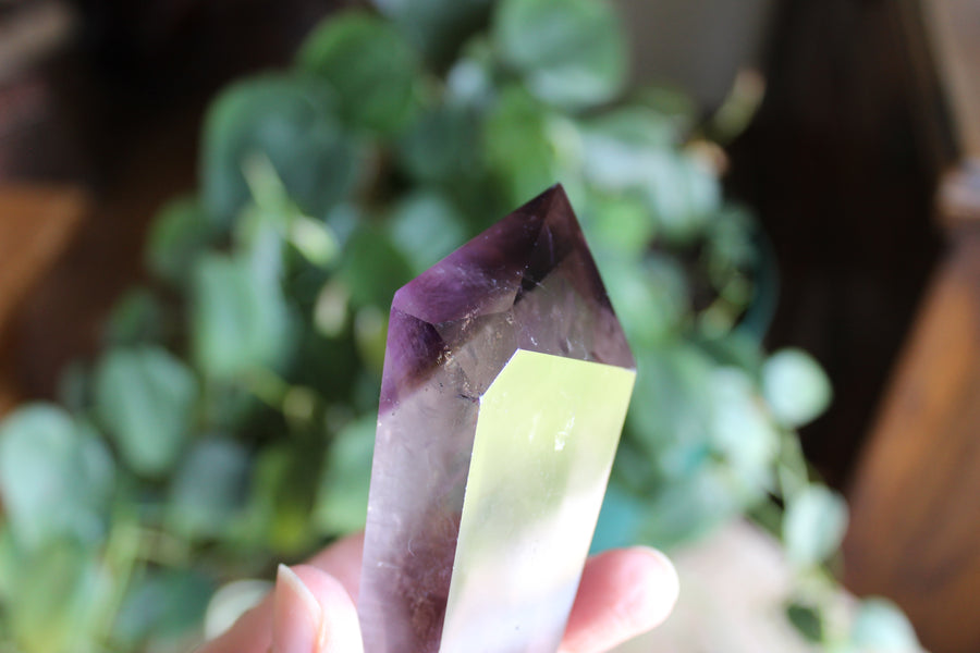 Polished amethyst root 8