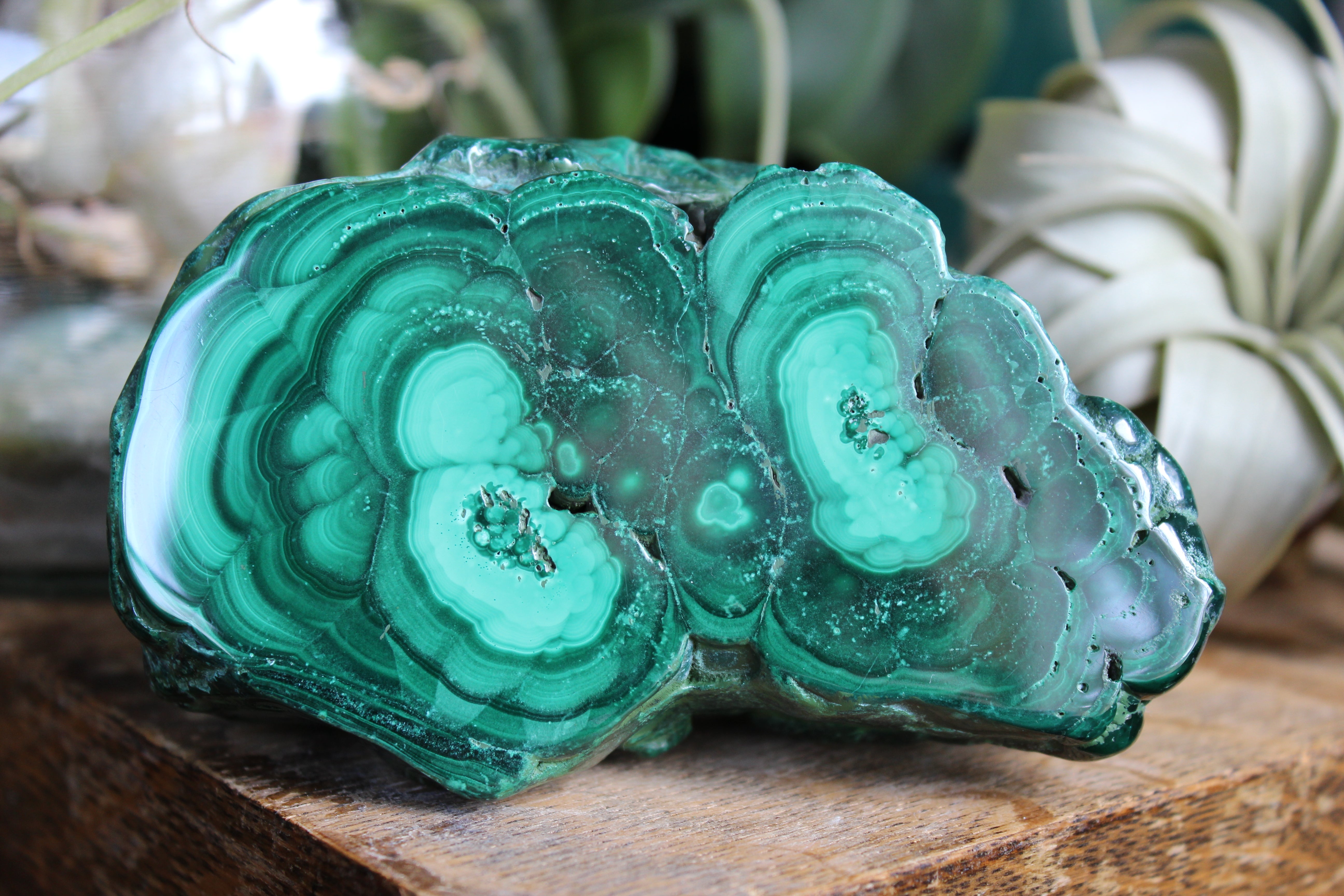 Semi polished malachite 13