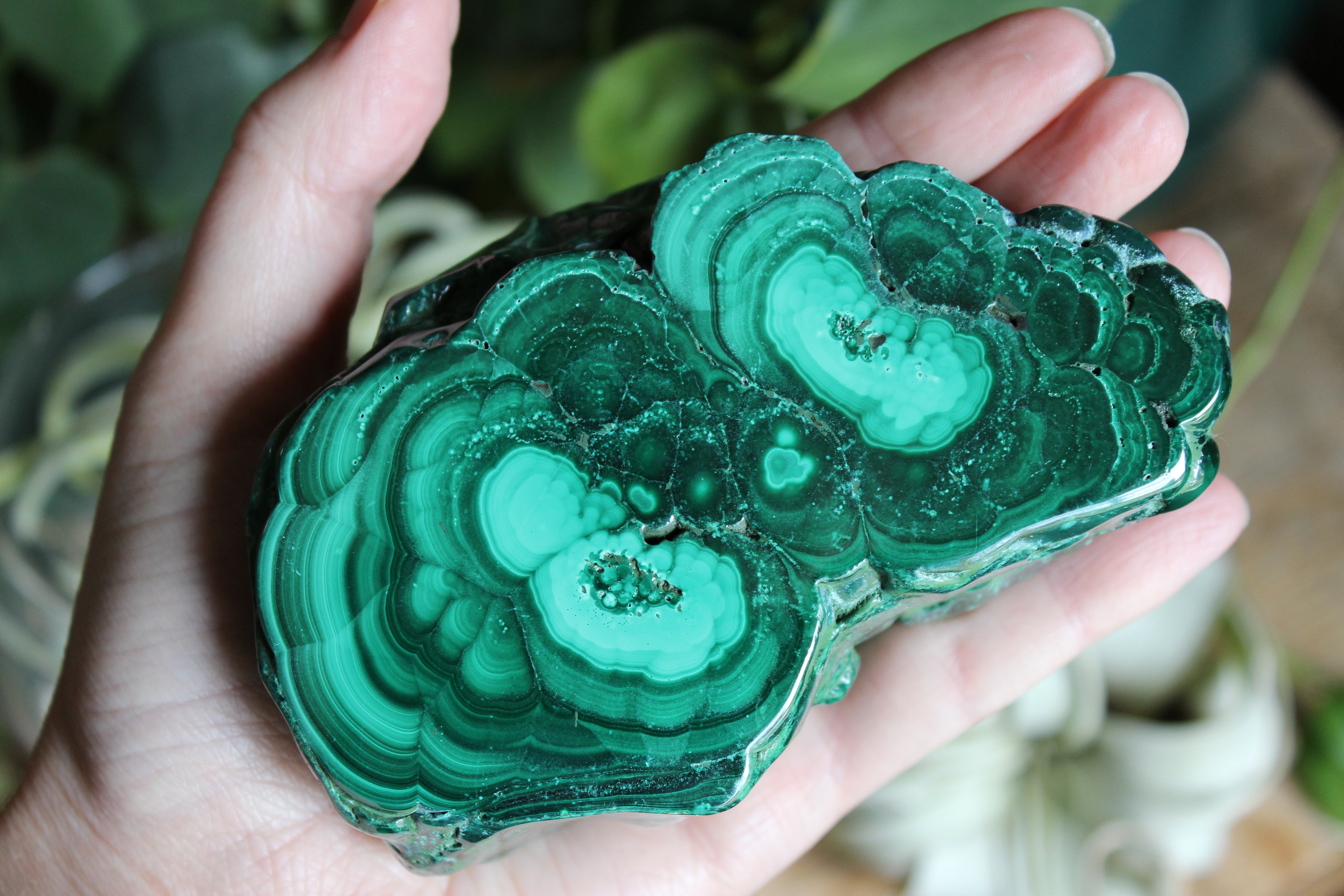 Semi polished malachite 13
