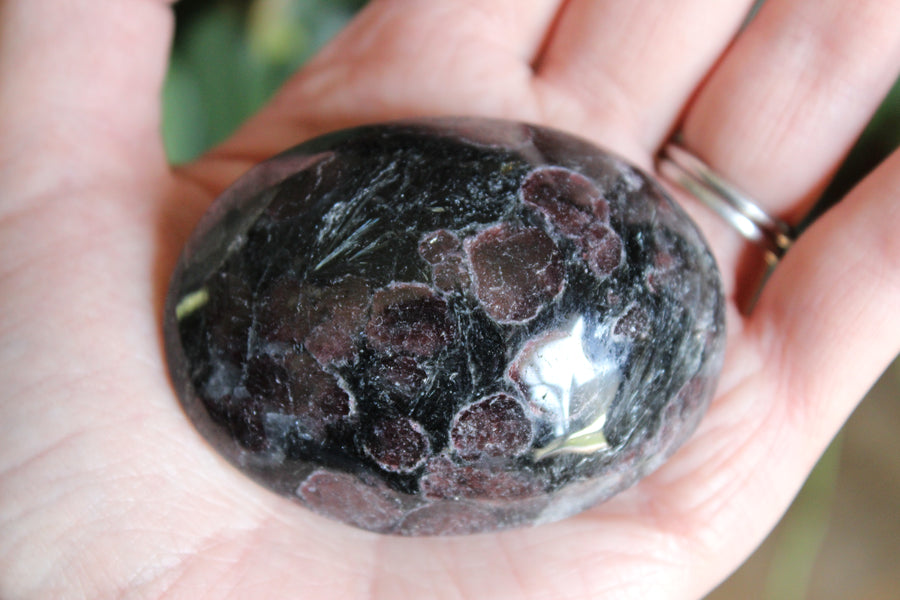 Garnet astrophyllite pocket stone 5