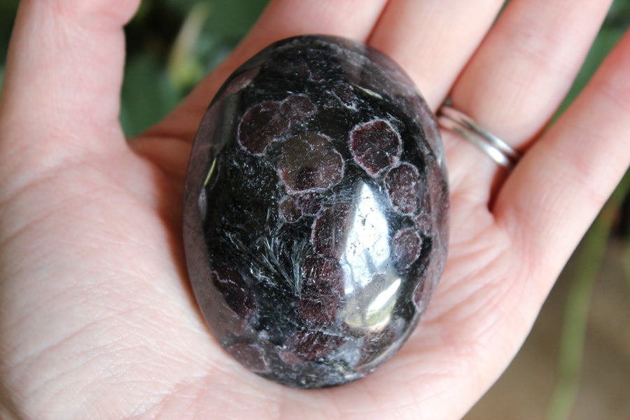 Garnet astrophyllite pocket stone 5