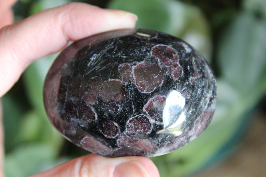 Garnet astrophyllite pocket stone 5