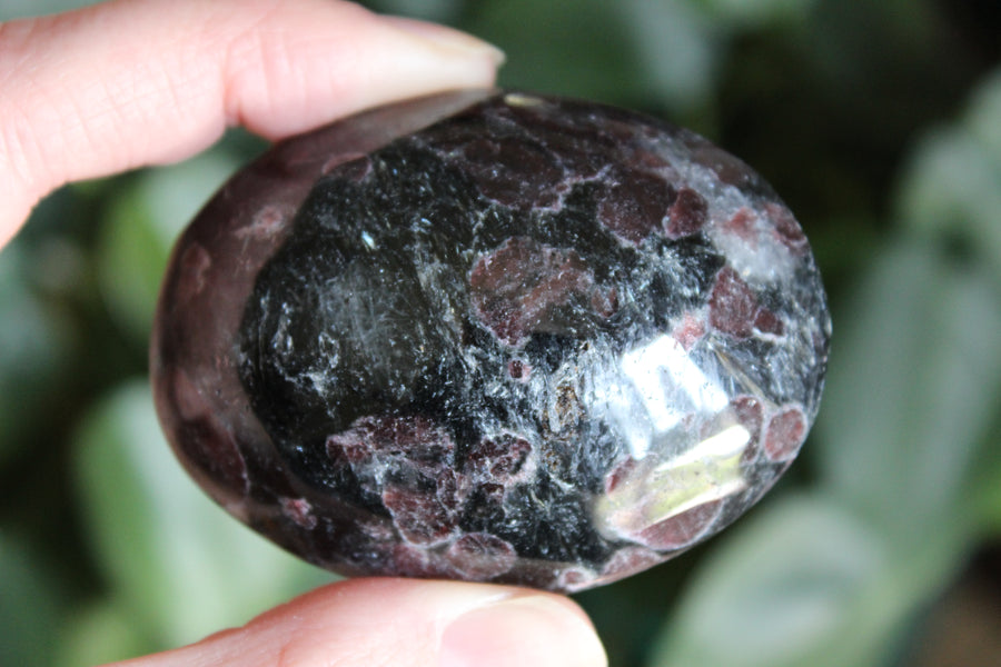 Garnet astrophyllite pocket stone 5