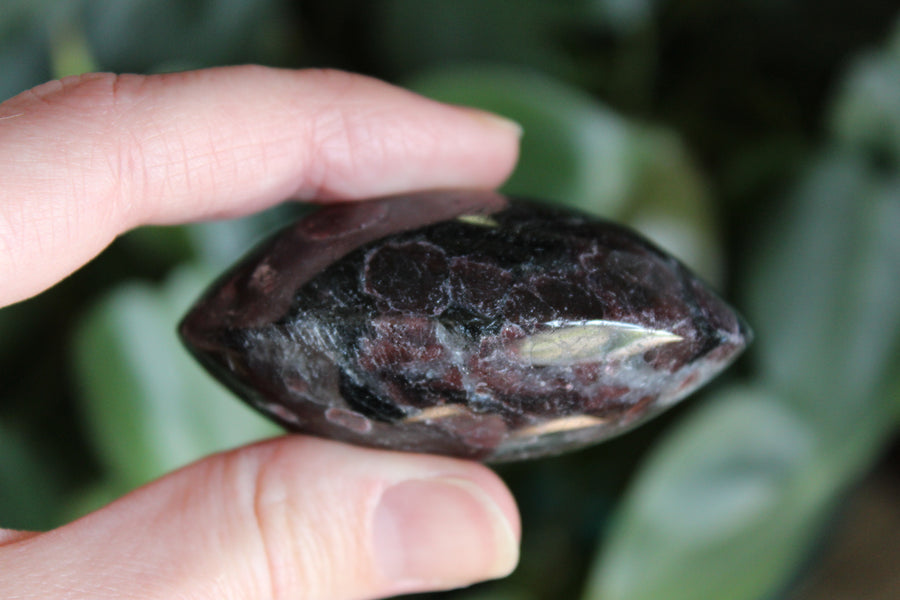 Garnet astrophyllite pocket stone 5