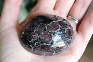 Garnet astrophyllite pocket stone 6