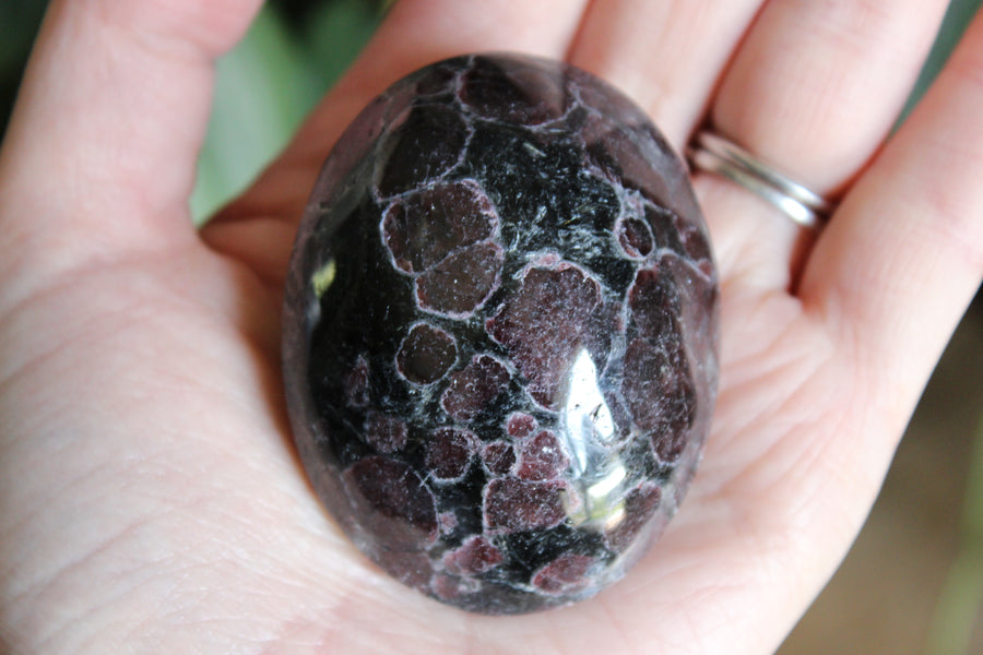 Garnet astrophyllite pocket stone 6