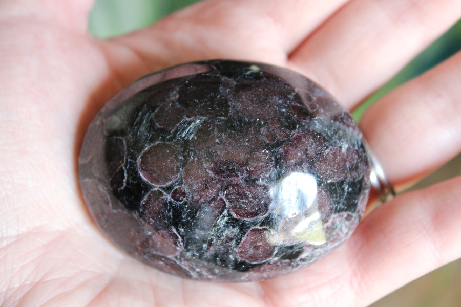 Garnet astrophyllite pocket stone 6