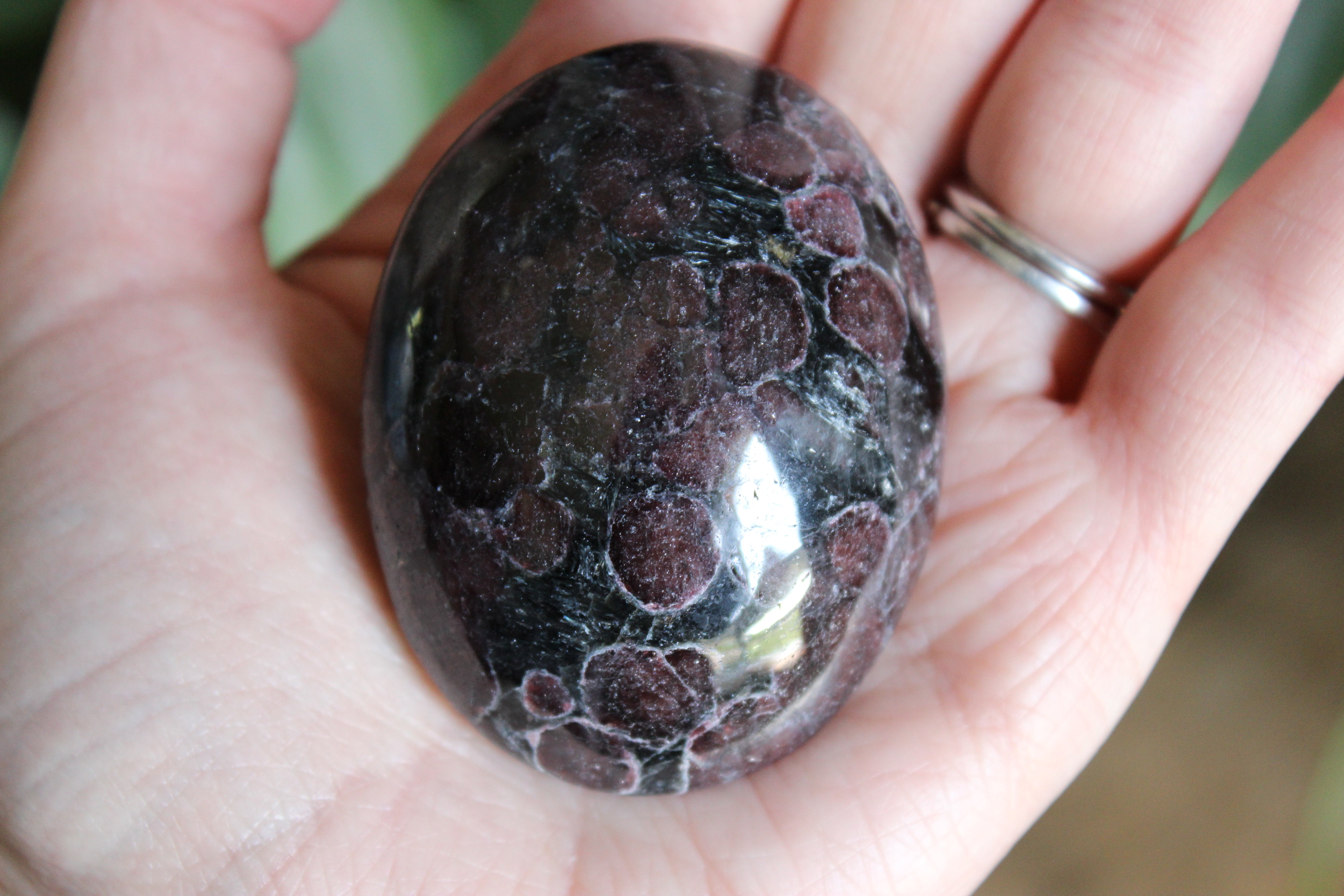 Garnet astrophyllite pocket stone 6
