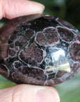 Garnet astrophyllite pocket stone 6