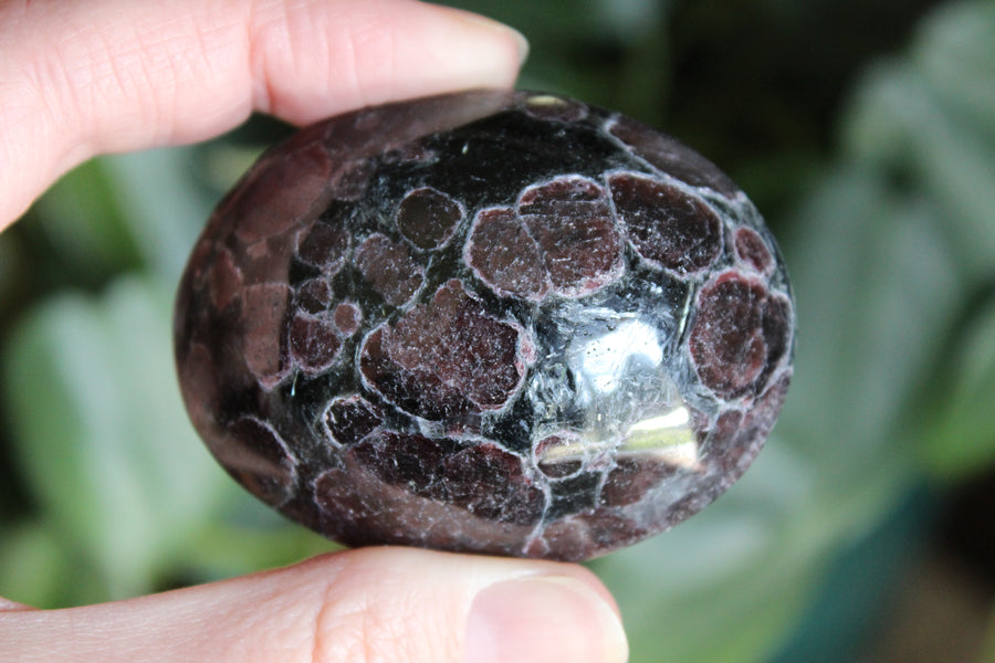 Garnet astrophyllite pocket stone 6