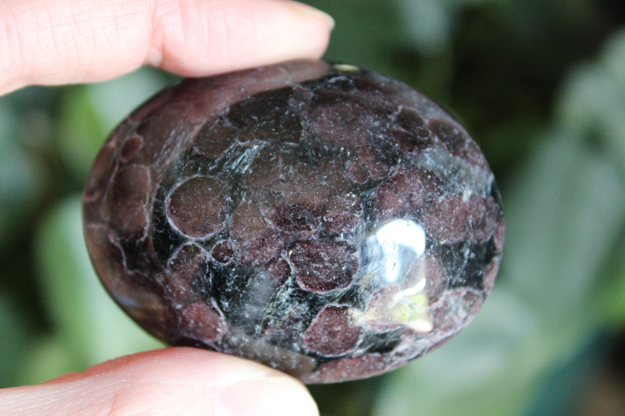 Garnet astrophyllite pocket stone 6