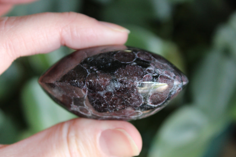 Garnet astrophyllite pocket stone 6