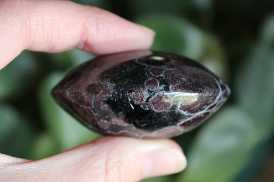 Garnet astrophyllite pocket stone 6