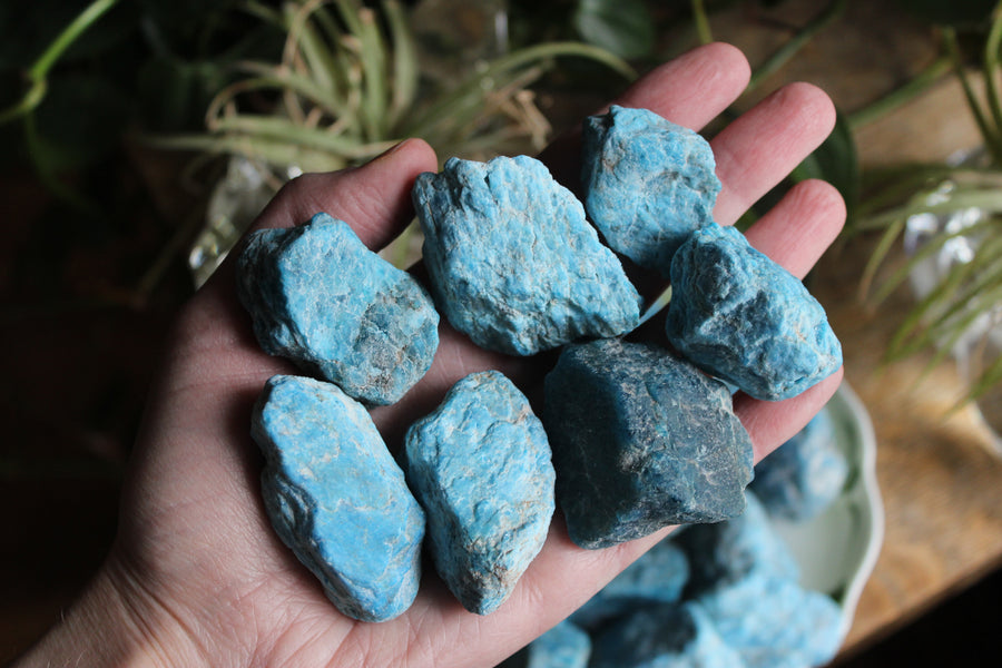 Rough blue apatite pieces (set of 3)