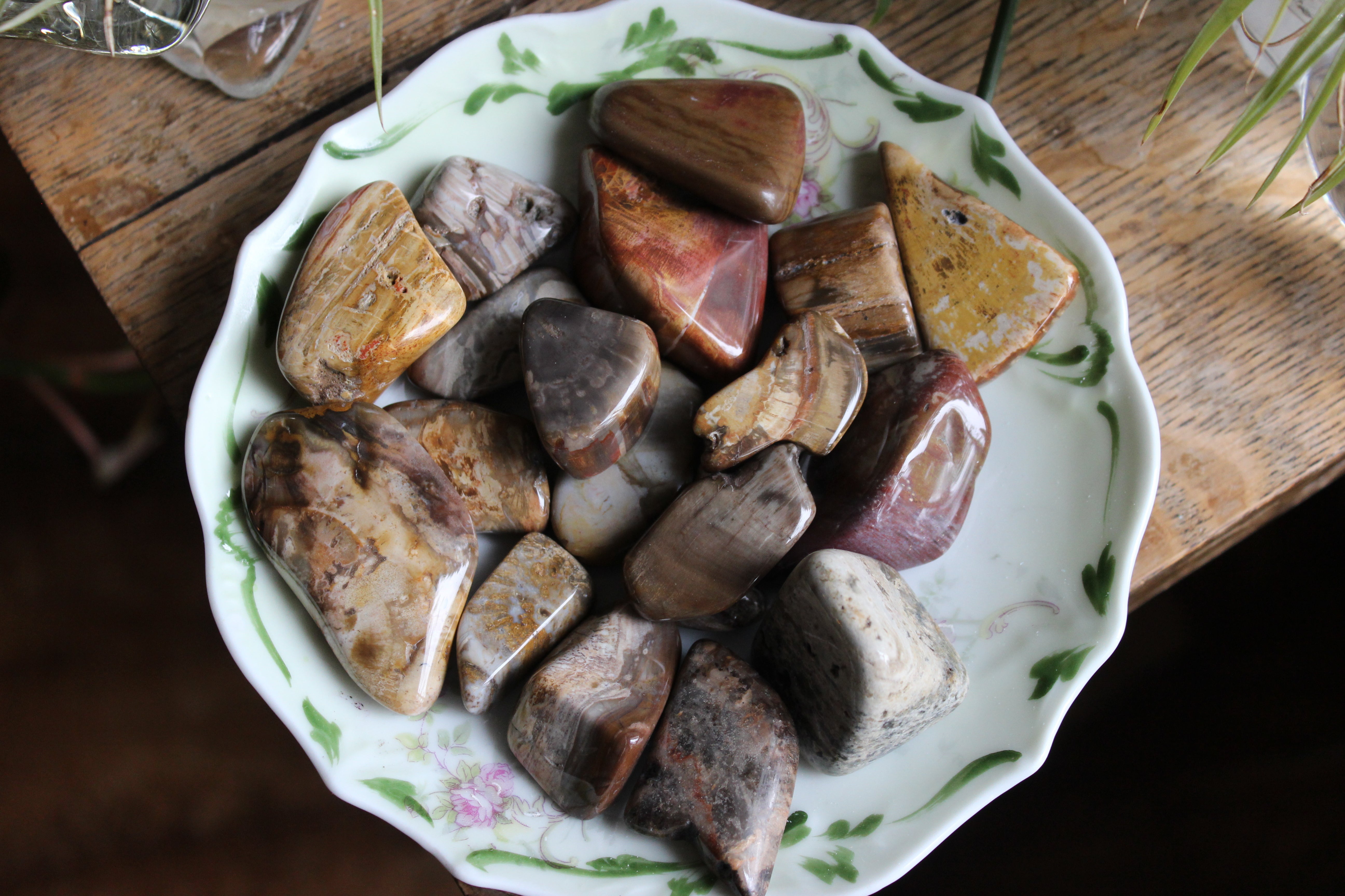 Petrified wood tumbled stones (set of 3)