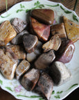 Petrified wood tumbled stones (set of 3)