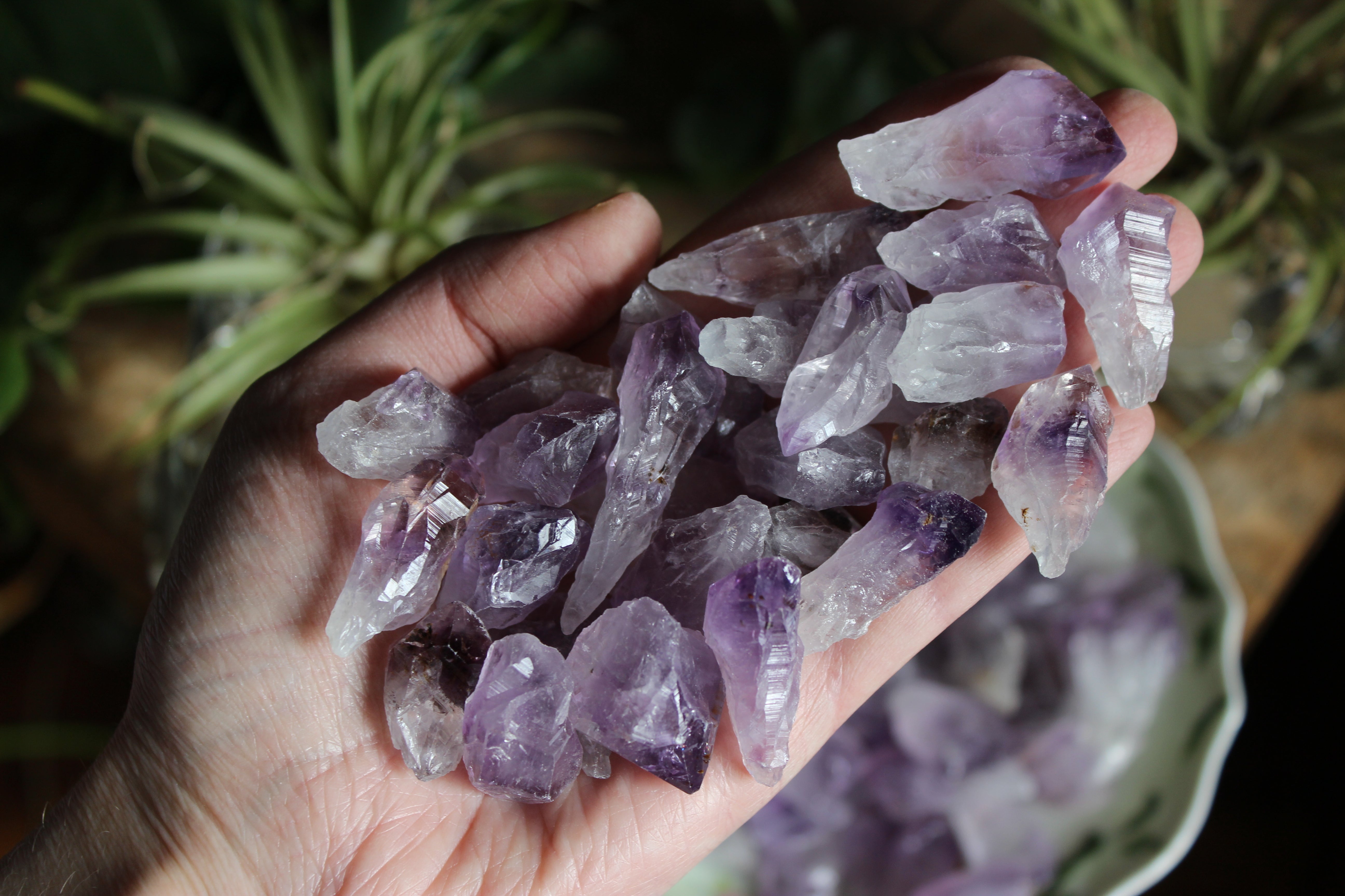 Rough amethyst points (set of 7)