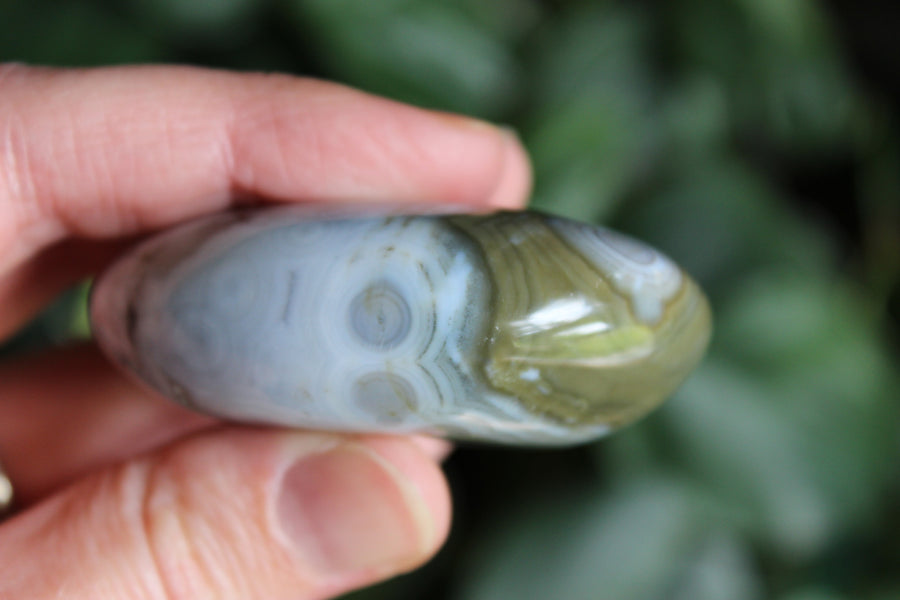 8th vein ocean jasper pocket stone 6