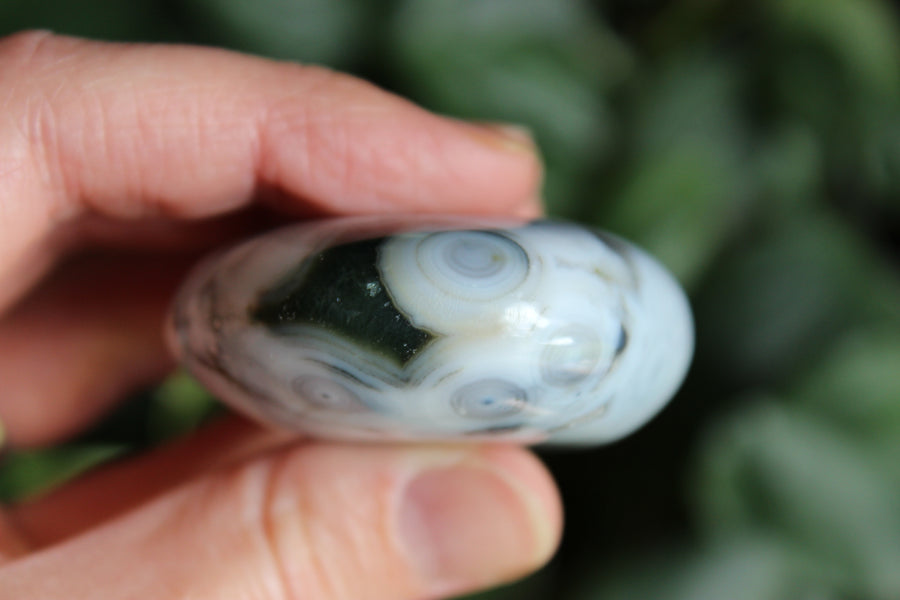 8th vein ocean jasper pocket stone 6