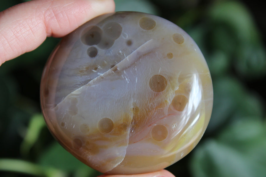 8th vein ocean jasper pocket stone 7