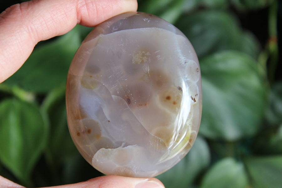 8th vein ocean jasper pocket stone 8